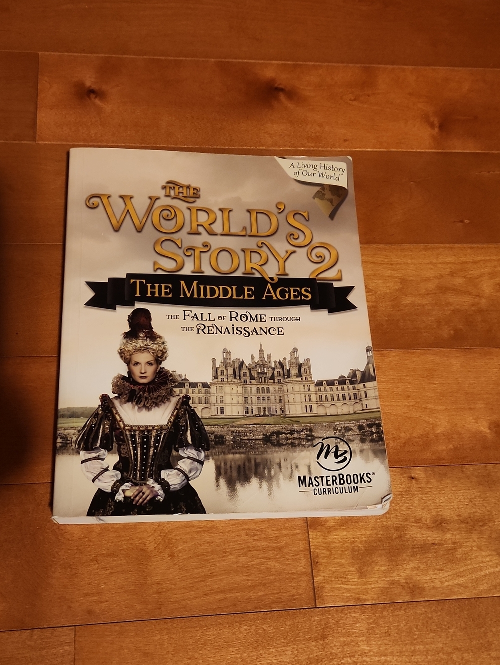 The World's Story 2: The Middle Ages - Masterbooks Curriculum